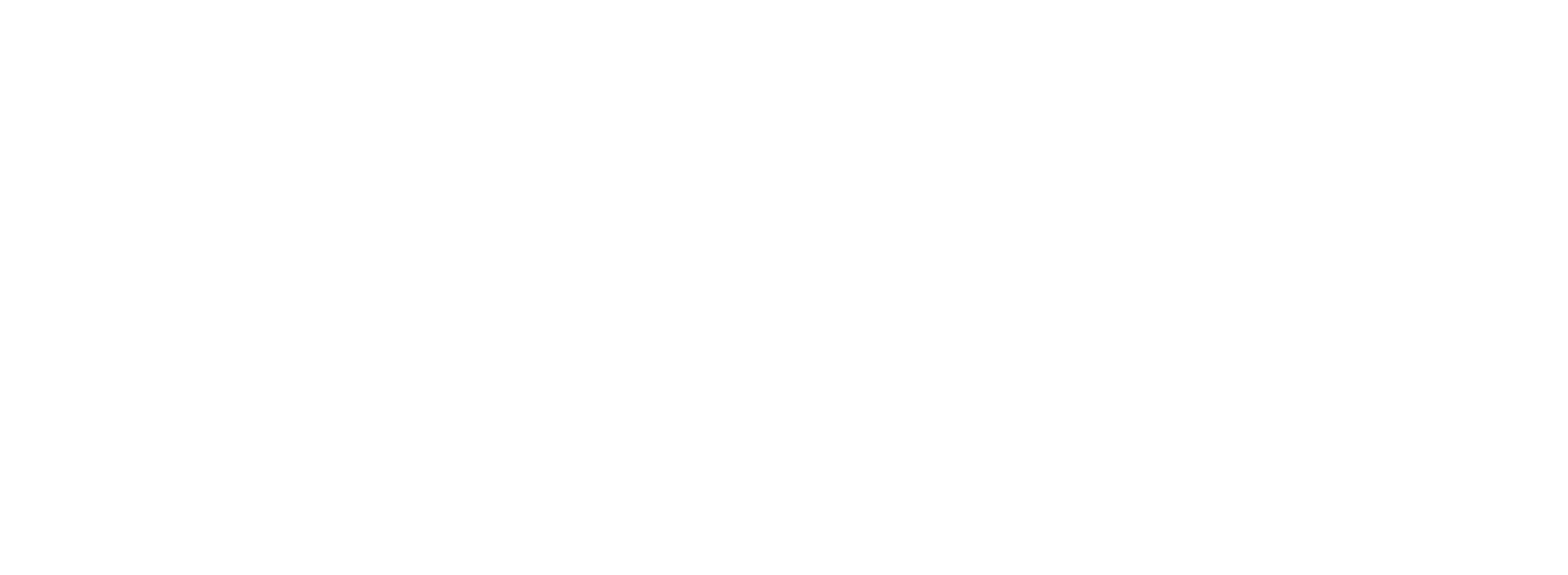 Ibmec